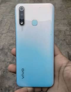 vivo