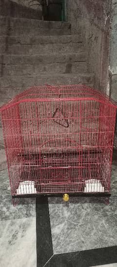 pinjra cage parrot