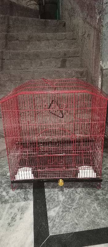 pinjra cage parrot 0