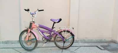 Girls Bicycle (8 - 10 years)