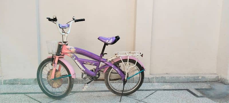 Girls Bicycle (8 - 10 years) 0