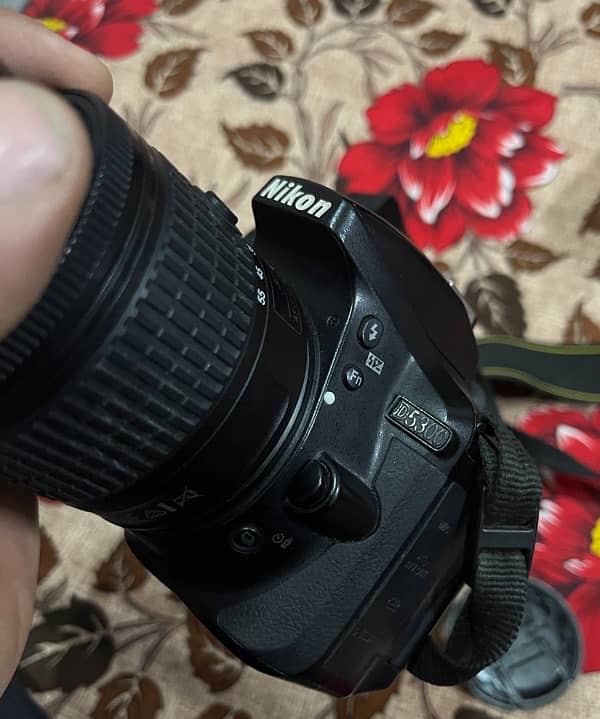 Nikon D5300 with kit lens and 55-200mm lens 9