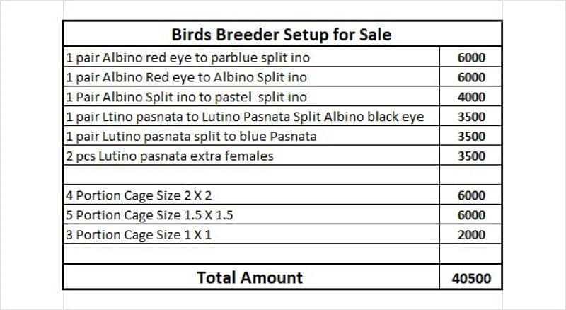 breeder pair with cage 0