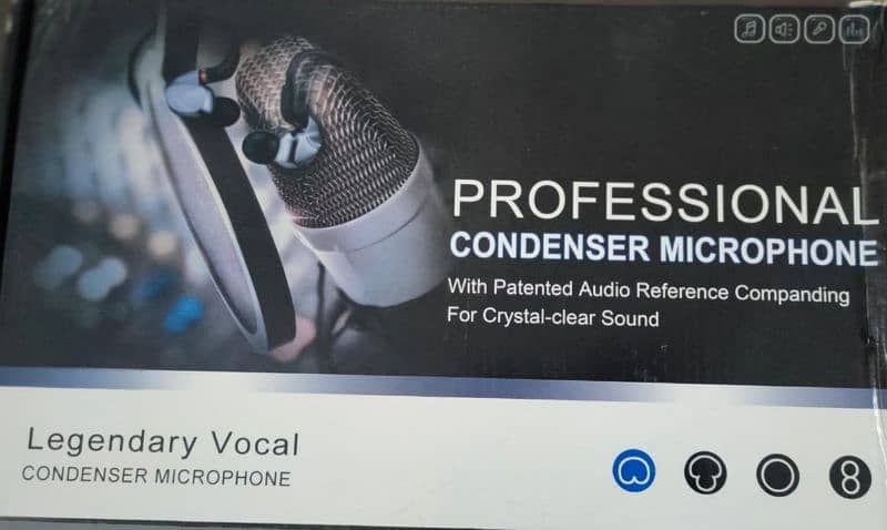 Professional Condenser Microphone 0