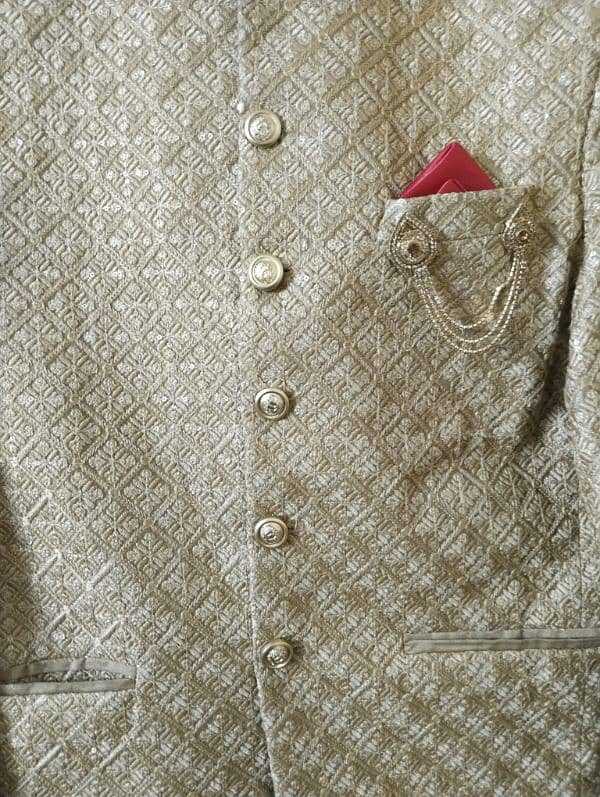 Prince coat only 1 time used 0