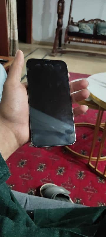 iphone 13 pro non pta 2