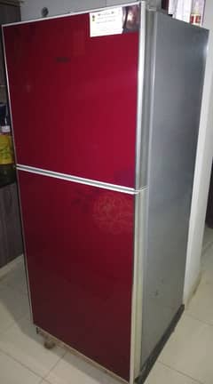 Hair Refrigerator