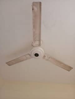 celling fan available for sale