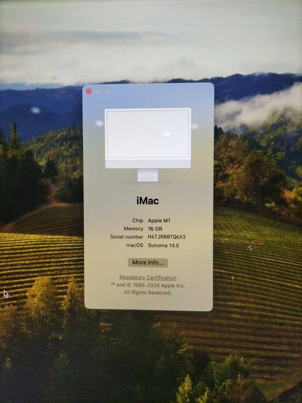 iMac 24-inch Apple M1 Chip 2