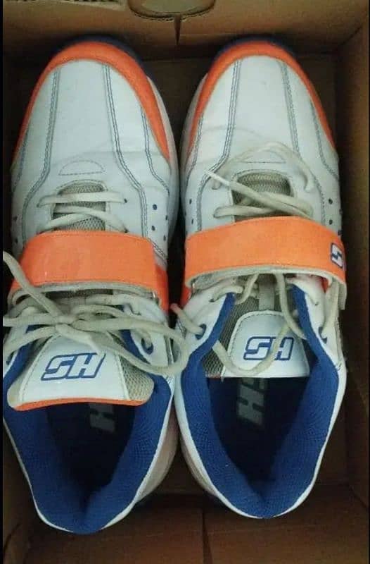 Cricket Shoes HS41 Pro 5