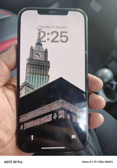 iphone 12 pro max 256 Gb