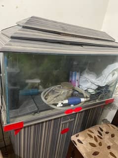 fish equarium for sale