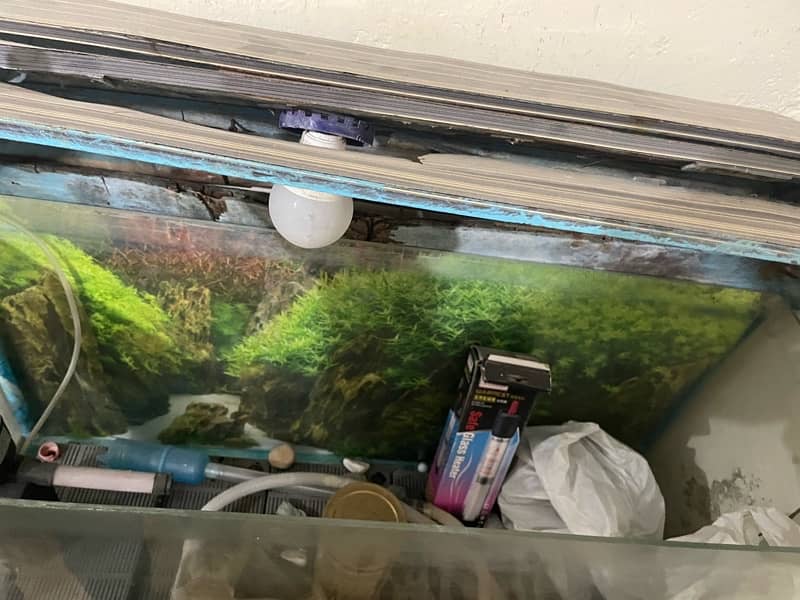 fish equarium for sale 5