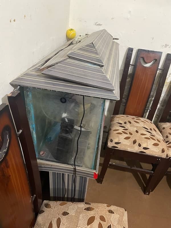 fish equarium for sale 7