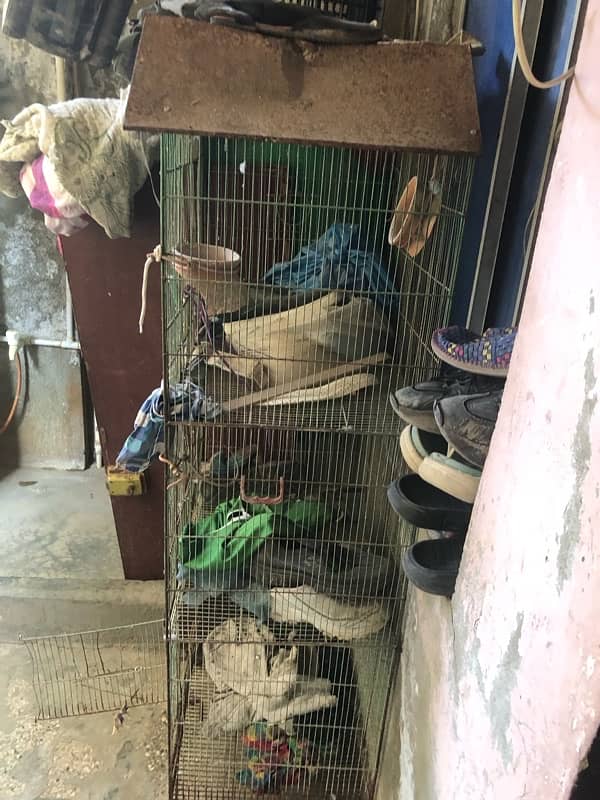 3 FLOOR CAGE FOR SELL 1