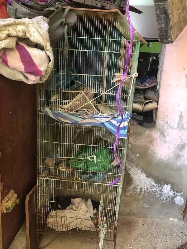 3 FLOOR CAGE FOR SELL 2