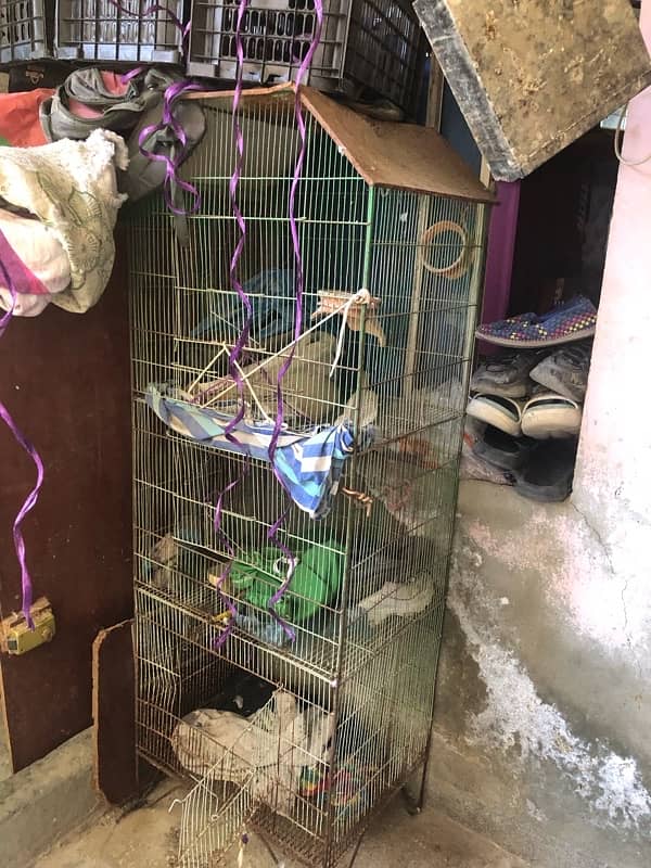 3 FLOOR CAGE FOR SELL 3