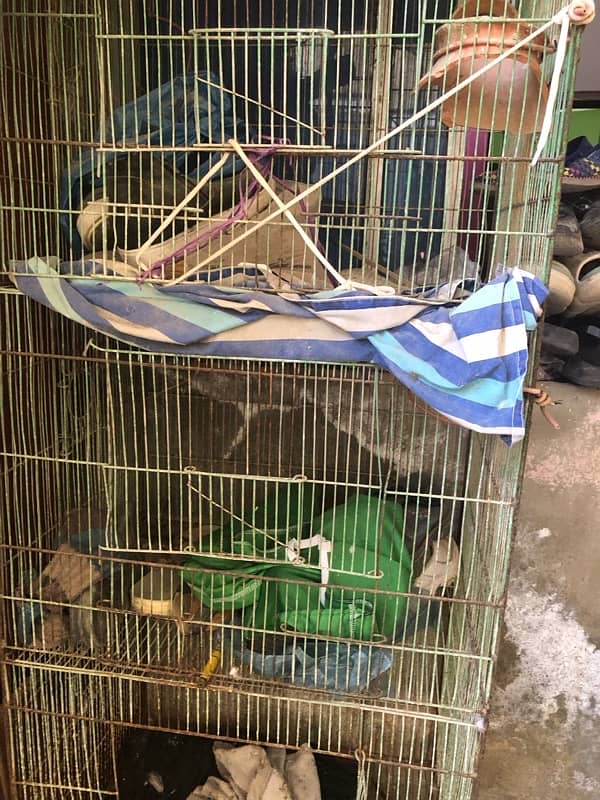 3 FLOOR CAGE FOR SELL 4