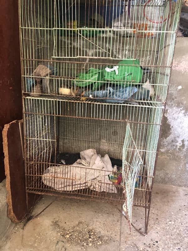 3 FLOOR CAGE FOR SELL 5