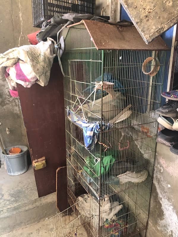 3 FLOOR CAGE FOR SELL 6