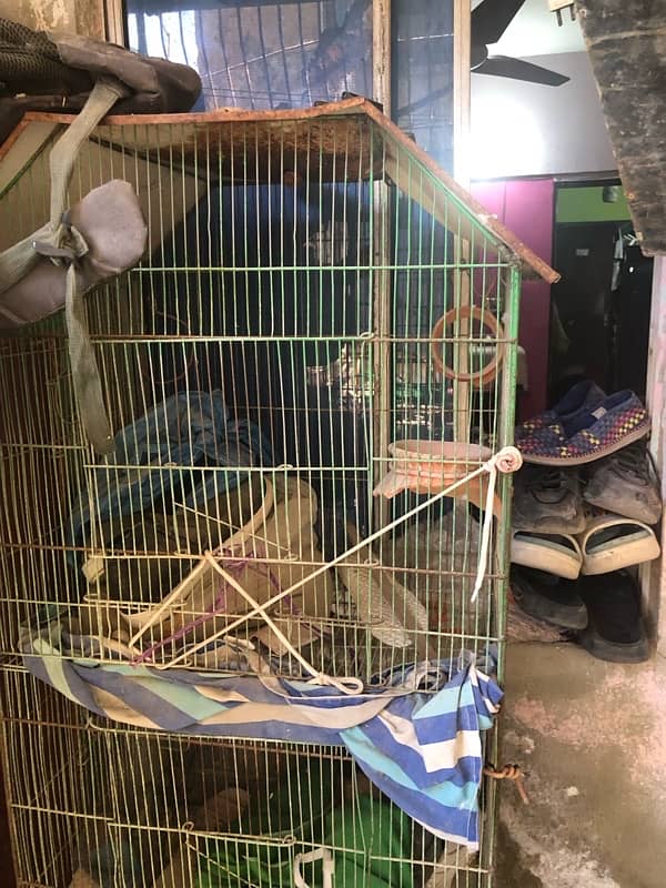 3 FLOOR CAGE FOR SELL 7