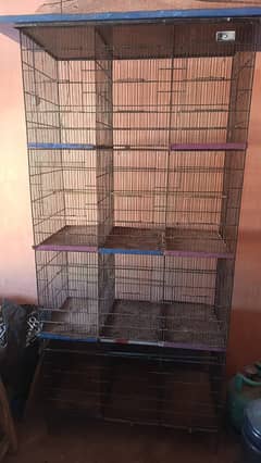 Birds cage