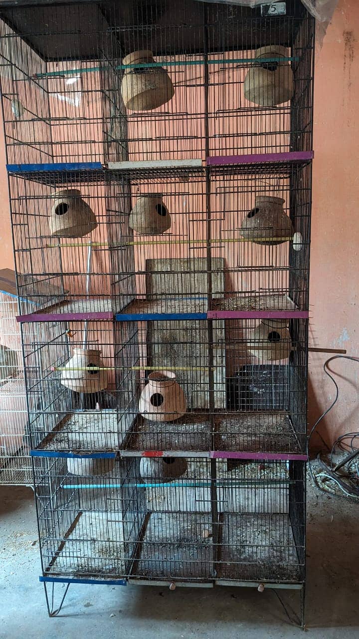 Birds cage 1