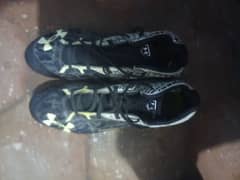 football shoes or studs