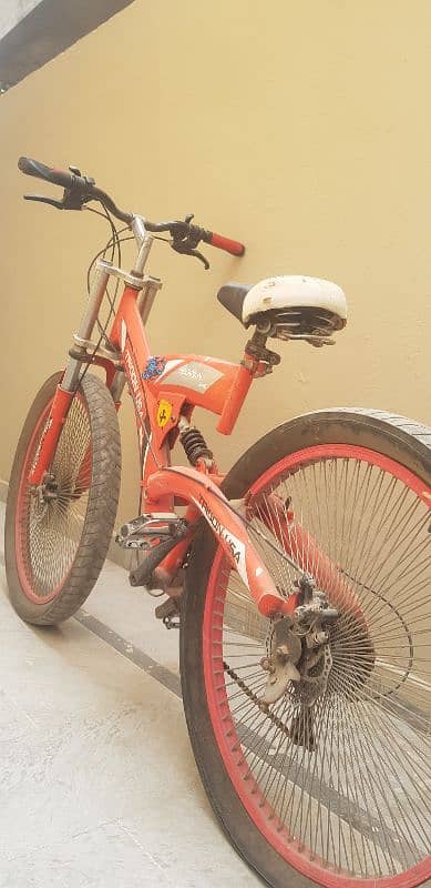 IMPORTED MOUNTAIN BIKE 2