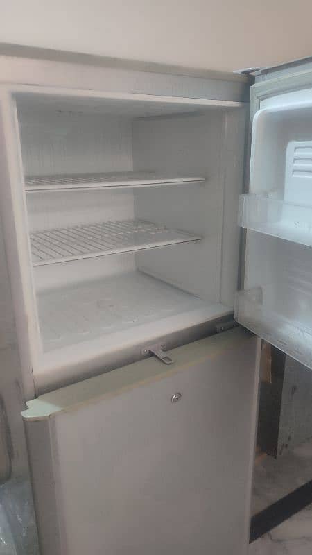 Pel fridge 1