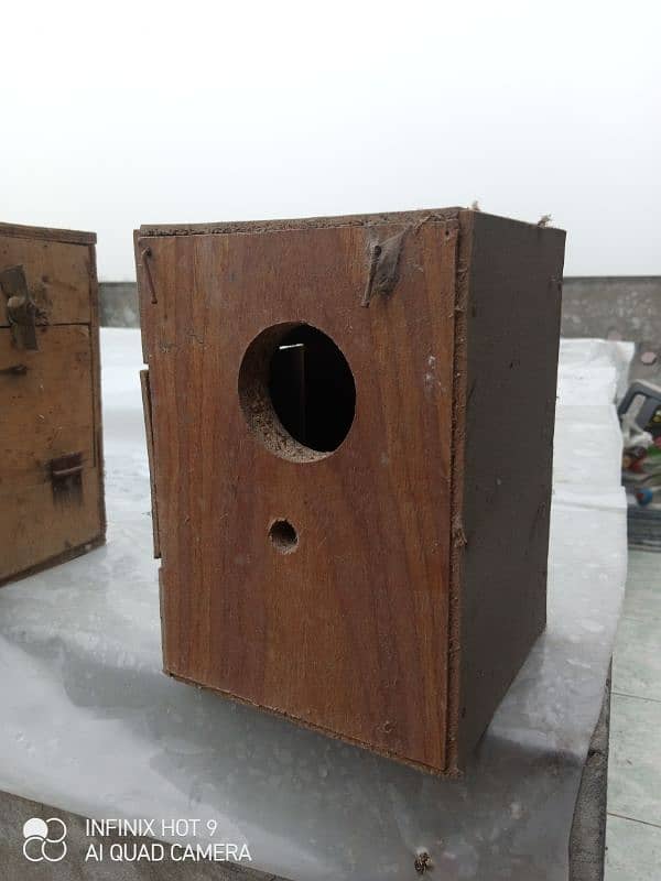 Bird's Box 1