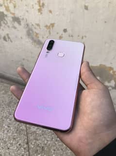 vivo