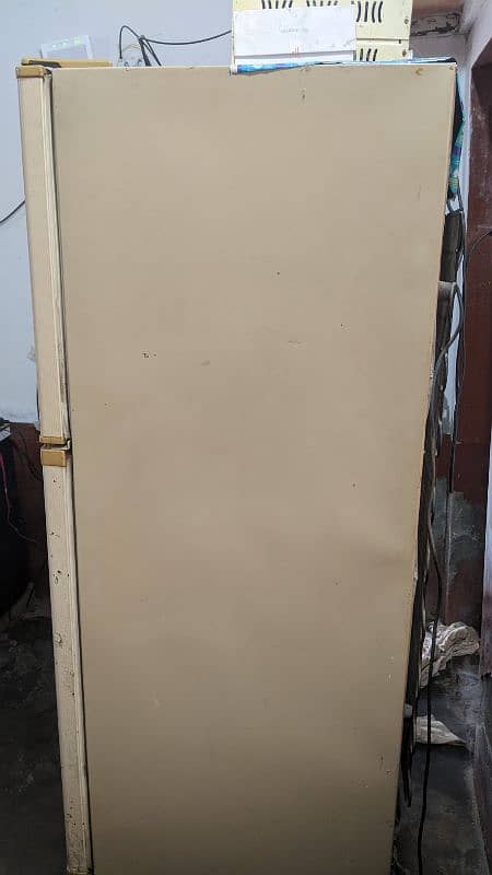 Wave Full Size Extra Large refrigerator 3