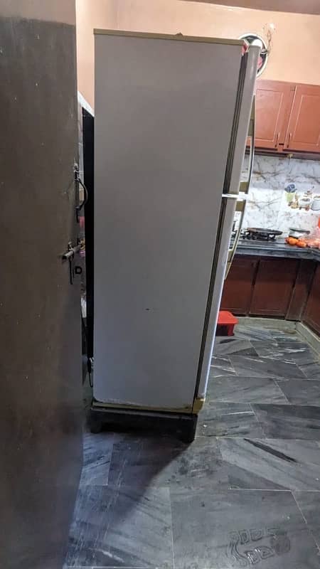 PEL Refrigerator, Fridge 4