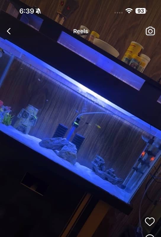 Fish Aquarium Fish Tank Fully Equiped Heavily loaded 3