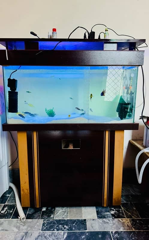 Fish Aquarium Fish Tank Fully Equiped Heavily loaded 5