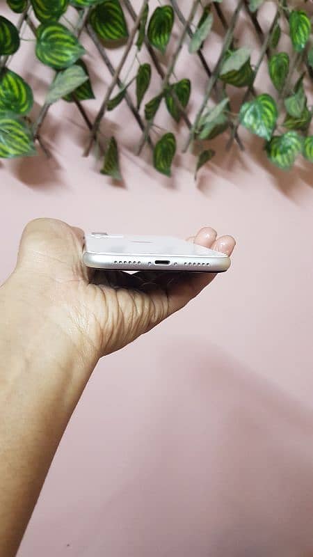 iphone 11 white color 1