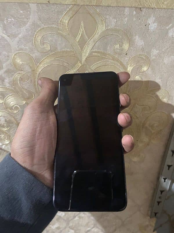 google pixel 4a 5g panel dead All ok 0