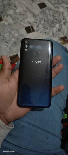 Vivo