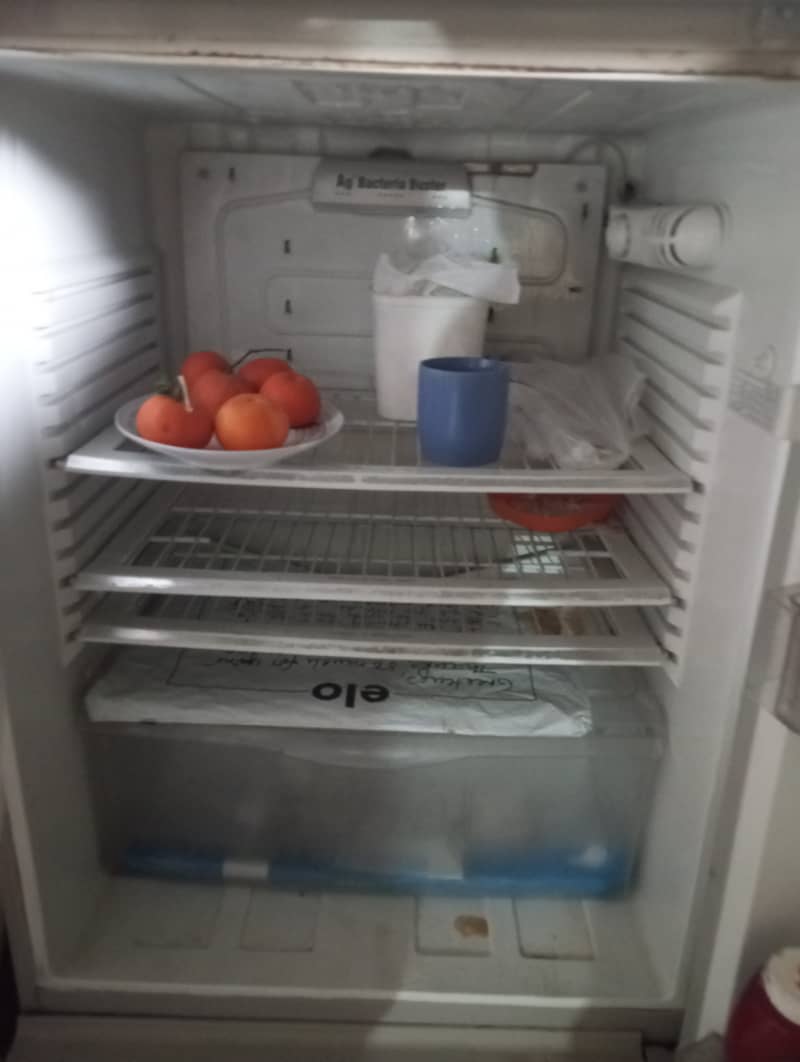 Arctic Medium size Fridge 2