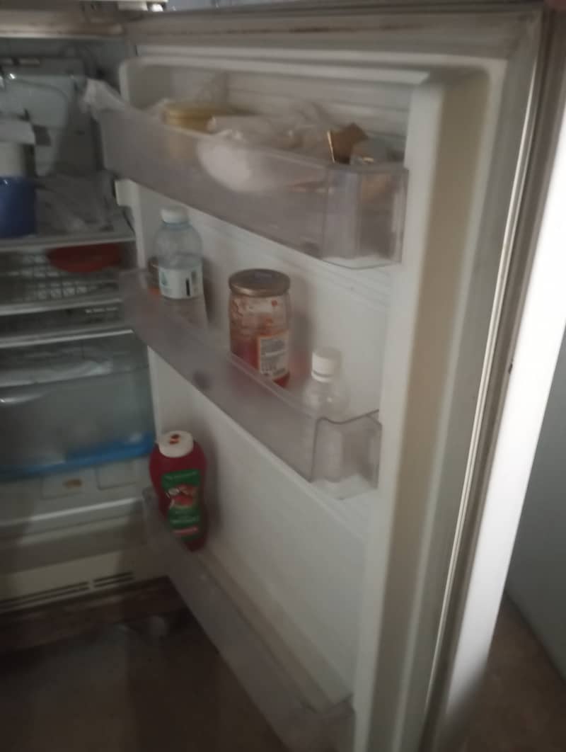 Arctic Medium size Fridge 3