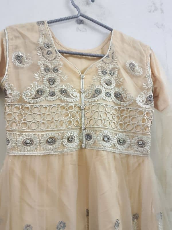 Fancy Dress Gharara 2