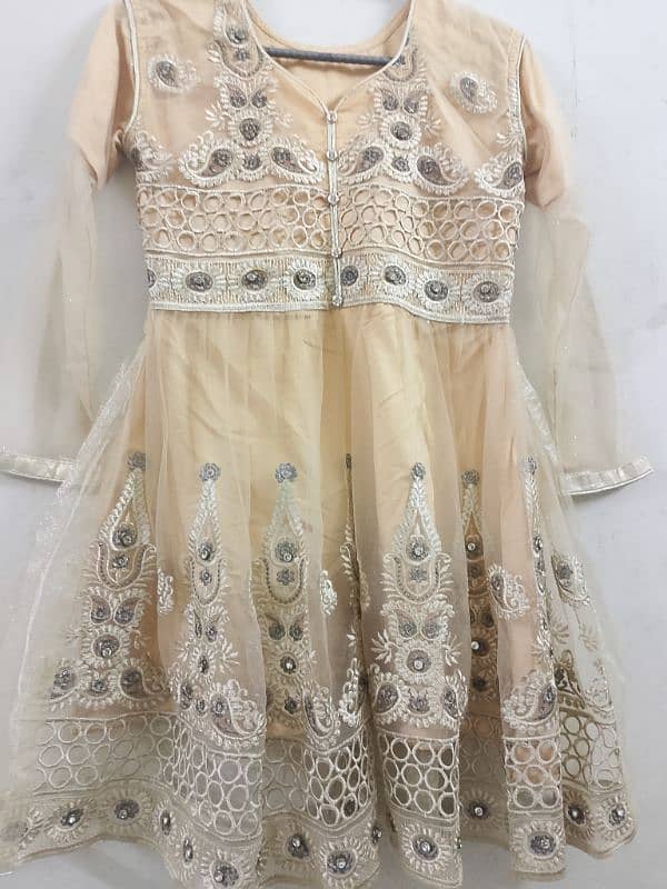 Fancy Dress Gharara 3