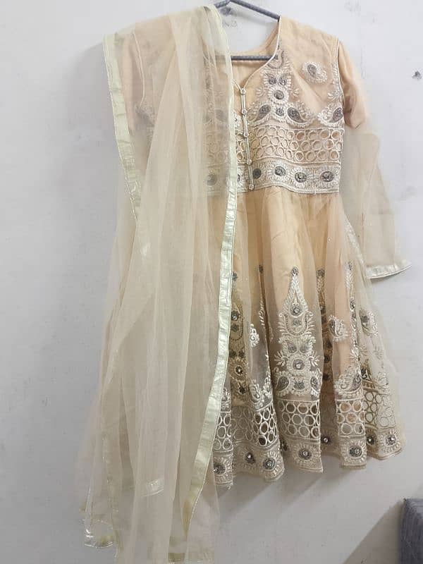 Fancy Dress Gharara 4