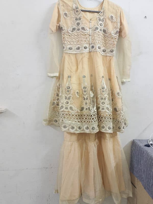 Fancy Dress Gharara 5