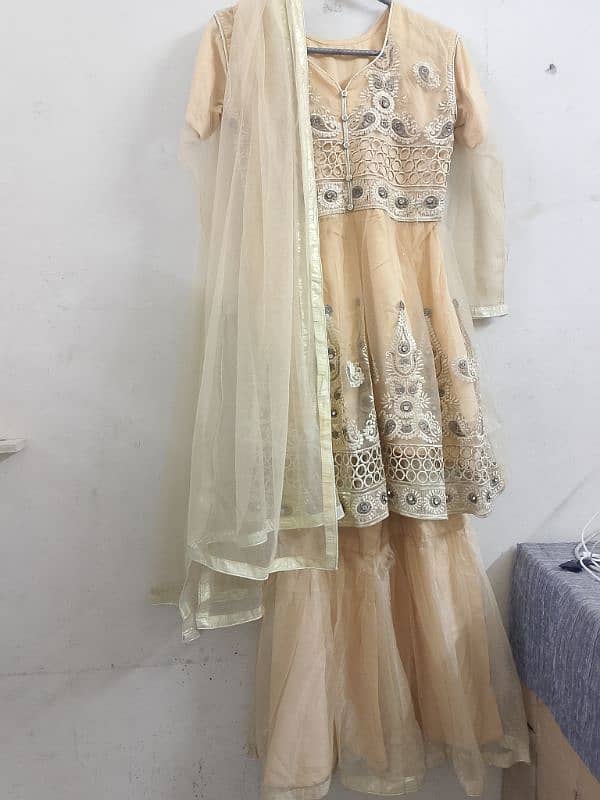 Fancy Dress Gharara 6