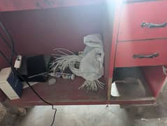 mobile rapiering counter for sale contact number 06046764953