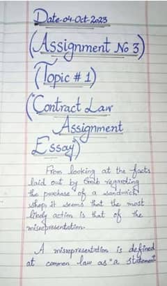 hand writing assignment work