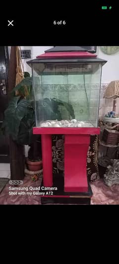 Fish aquarium with all equipment