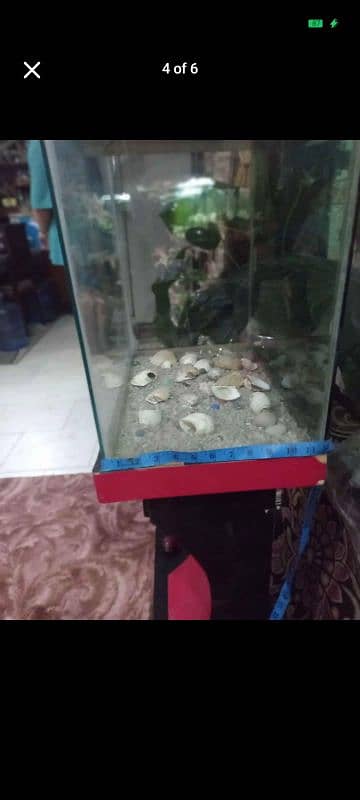 Fish aquarium with all equipment 1